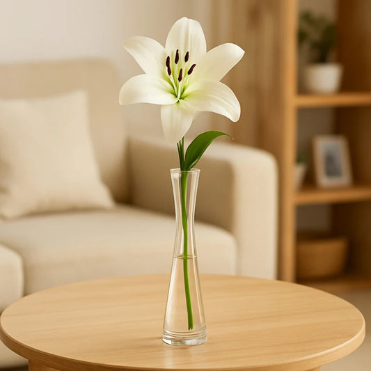 Single Stem Glass vase