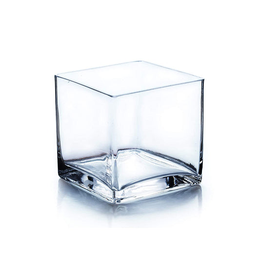 Glass Tall Square Vase (4 Inch, Clear)