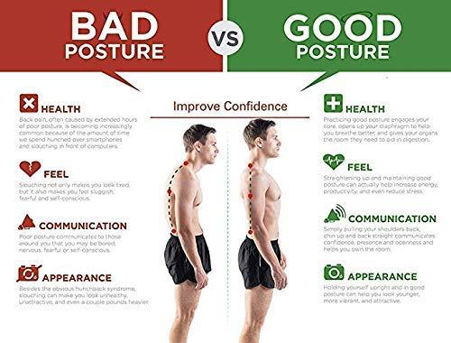 SmartPosture Support Belt FREE SIZE