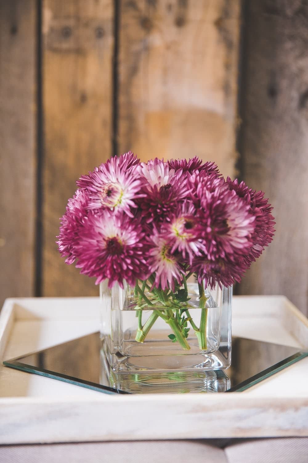 Glass Tall Square Vase (4 Inch, Clear)