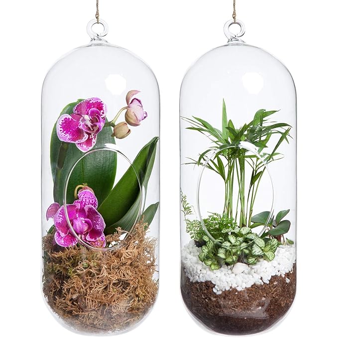 Terrarium Capsule 9 Inches - 1 piece